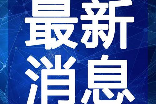 凉山小李子爆料视频最新,事件背后惊人真相