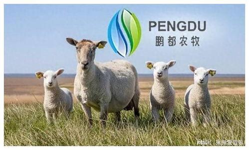 鹏都农牧养殖场最新爆料,揭秘养殖场背后的秘密与挑战
