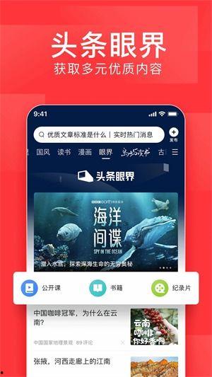 合肥今日头条新闻爆料,突发！合肥某地发生重大事件，详情正在调查中...