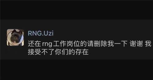 深夜回应知情人爆料视频,知情人爆料视频背后的惊人真相