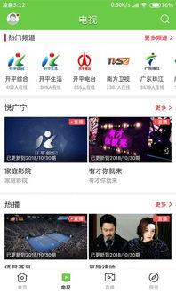 广宁新闻爆料,揭秘当地重大事件背后真相