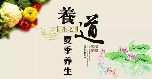 娱乐吃瓜健康养生小说,娱乐、吃瓜与身心健康的小说之旅